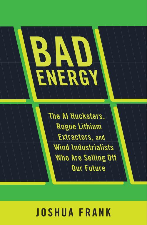 Bad Energy book cover